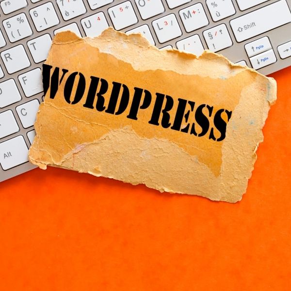 2.3 CMS WordPress